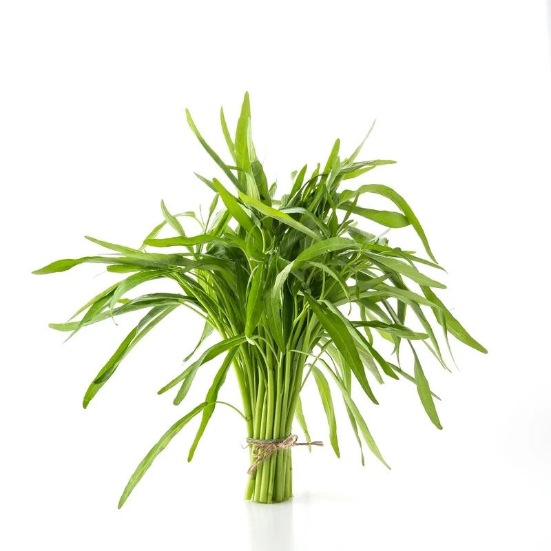1767375207017_Lemon-Grass-Tea--------------------------------------by-Corporate-Health-Bangladesh-03